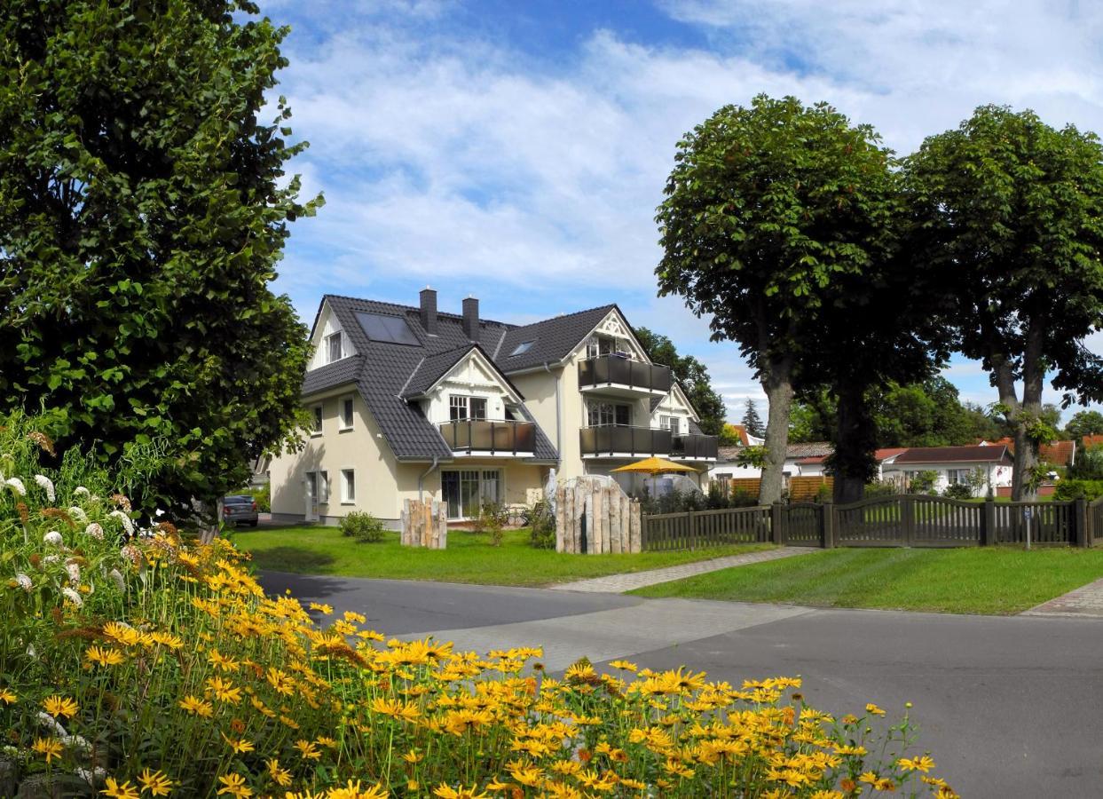 Neue Reihe 28 - Wohnung Vogelnest Zingst Exteriér fotografie