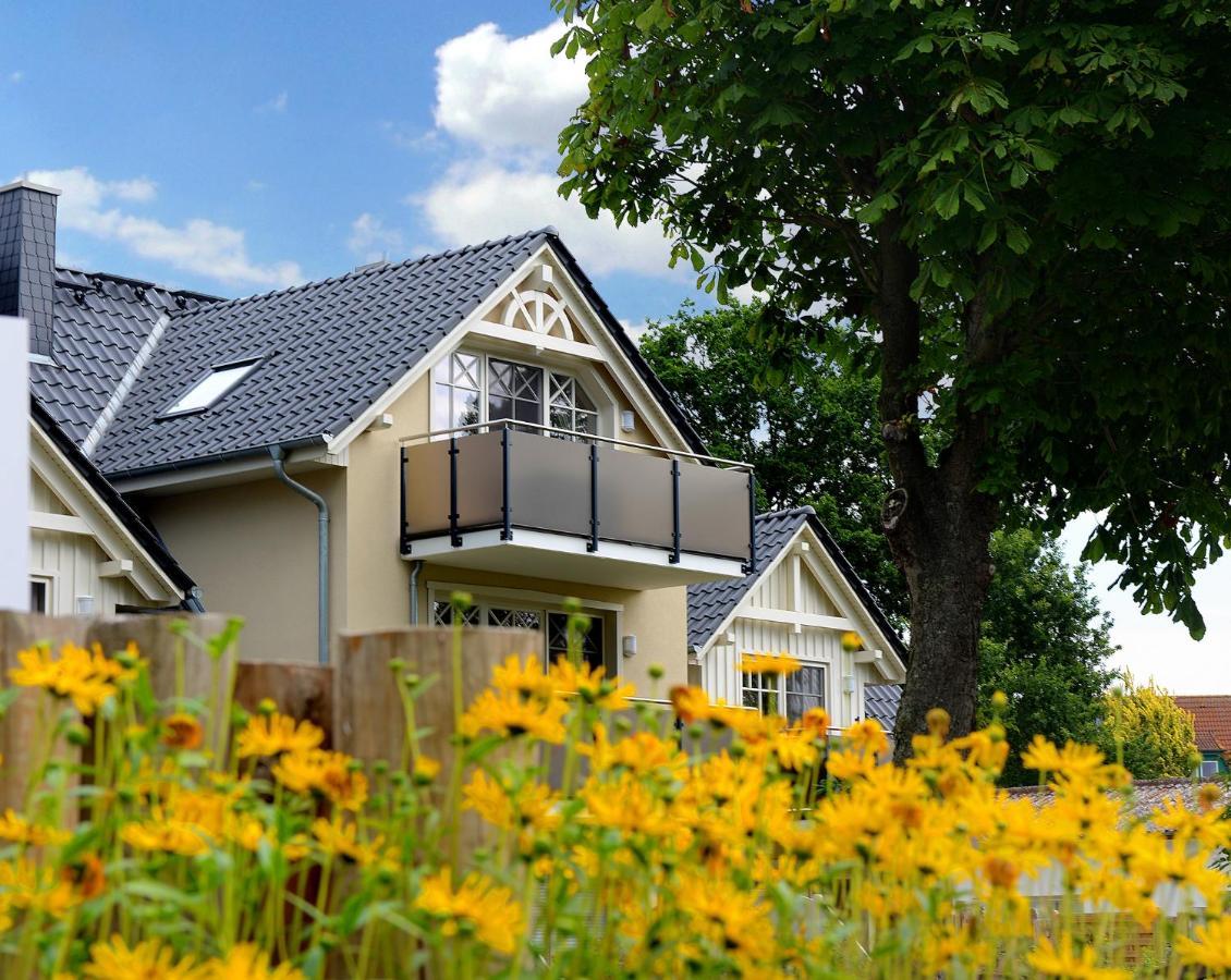 Neue Reihe 28 - Wohnung Vogelnest Zingst Exteriér fotografie