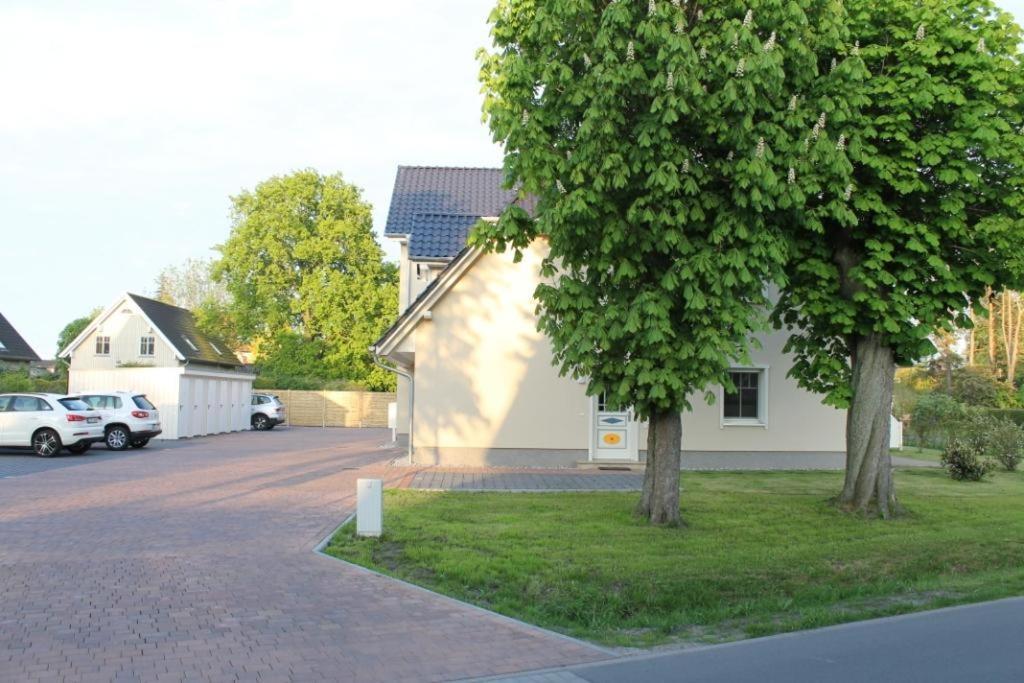 Neue Reihe 28 - Wohnung Vogelnest Zingst Exteriér fotografie